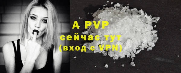 гашик Балахна