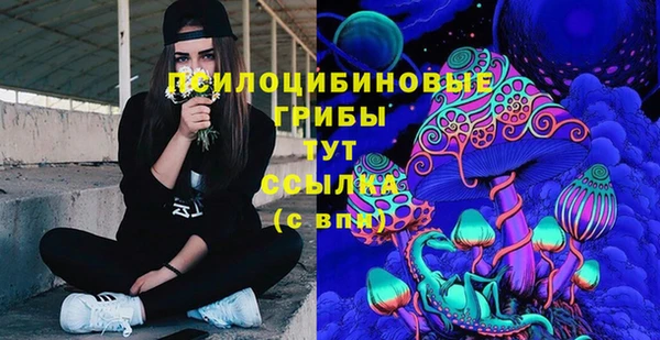 гашик Балабаново