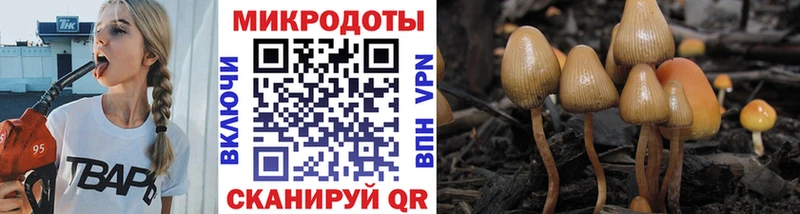 Псилоцибиновые грибы Cubensis  Морозовск 